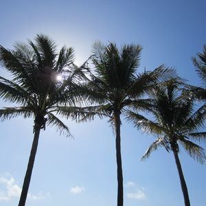 Meet your Posher, Marc